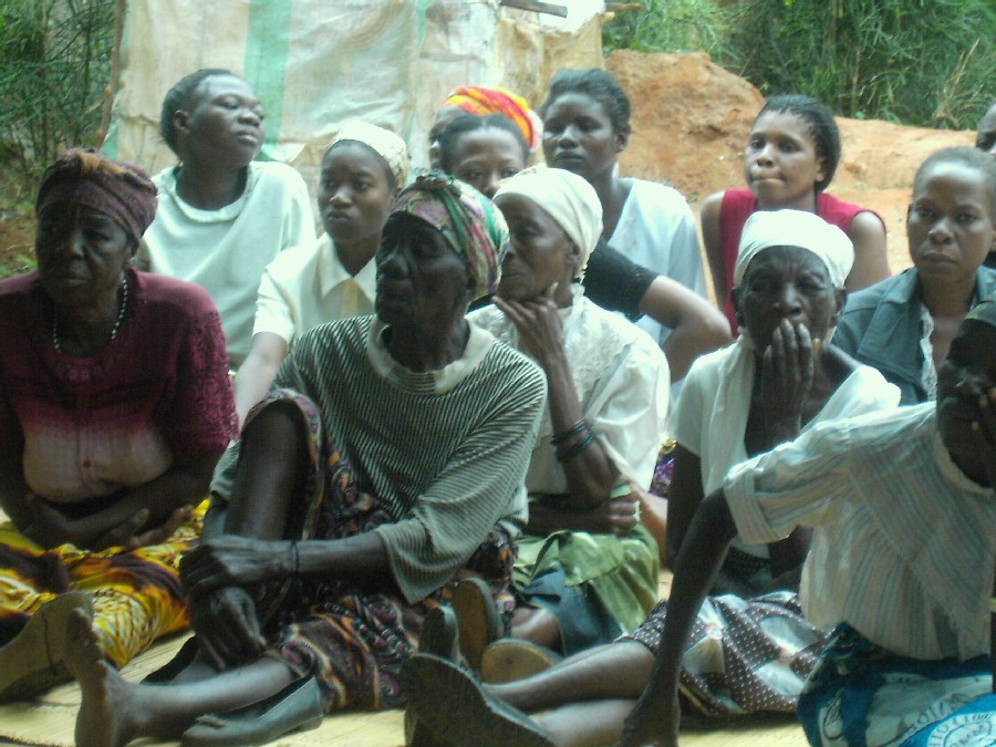 Abbey CB Grammar School - St. Francis Day Care Visits